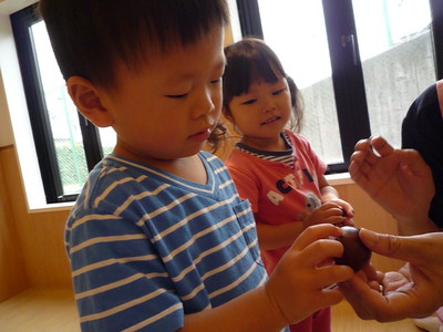 P1180074.JPG