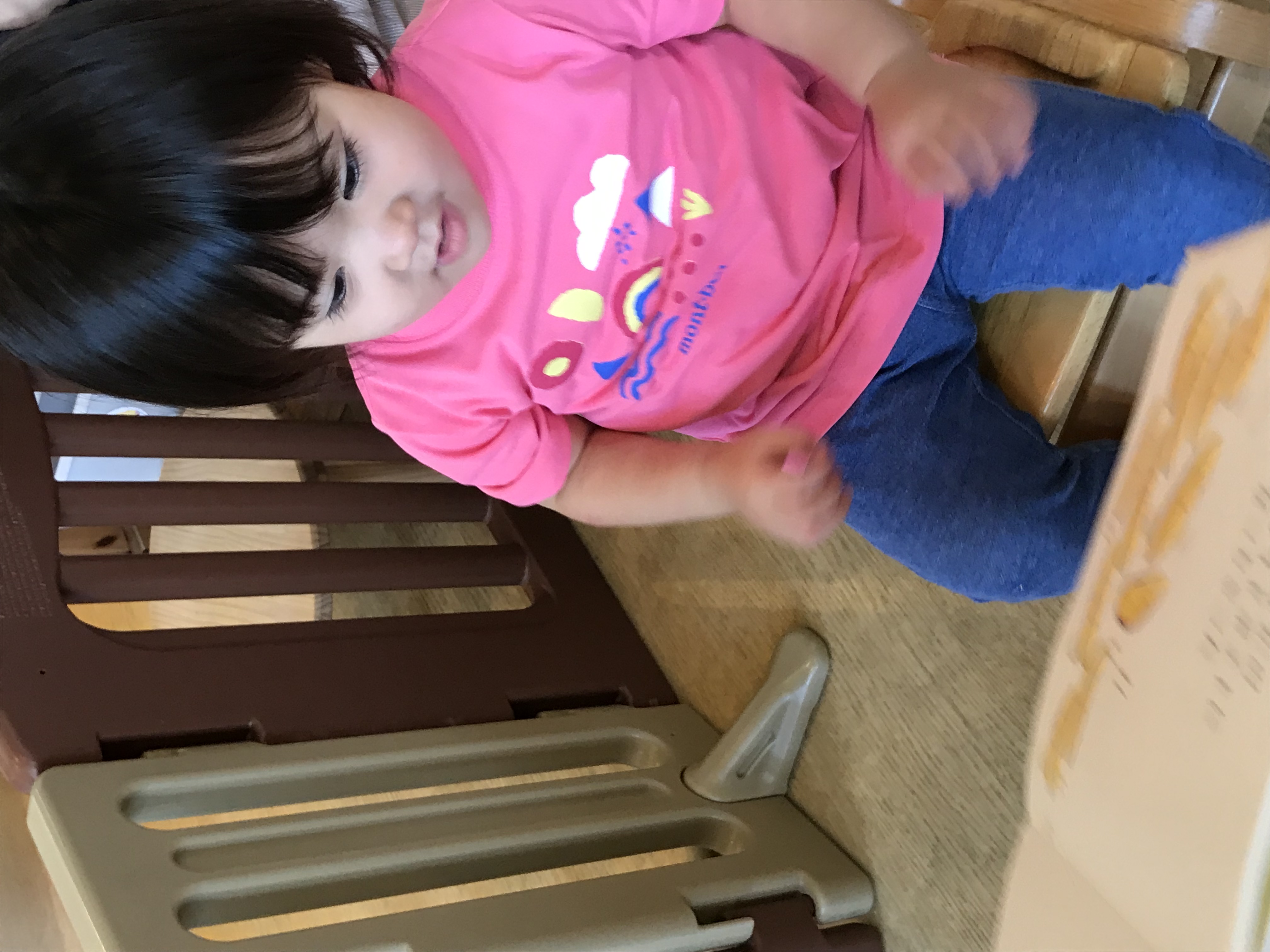 IMG_2422%5B1%5D.JPG